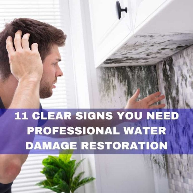 Clear signs you need professional water damage restoration