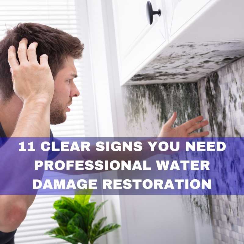 Clear signs you need professional water damage restoration
