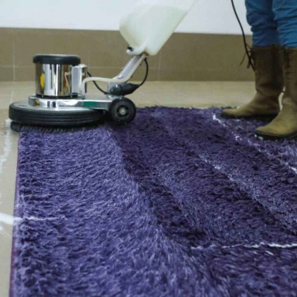 Professional cleaning a water-damaged purple carpet using a rotary floor scrubber to remove moisture and contaminants after flooding.