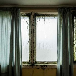 Heavily mould-infested window frame with condensation on the glass and visible green and black mould spreading around the edges and curtains in a poorly ventilated room.