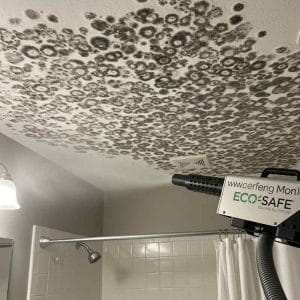 Severe black mould infestation covering a bathroom ceiling, with an Eco-Safe mould removal machine positioned for treatment near a tiled shower area.