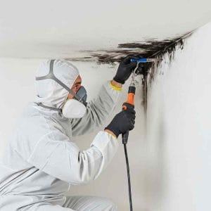 Mould remediation technician in full protective gear and respirator removing black mould from a ceiling corner using specialised scraping and cleaning tools.
