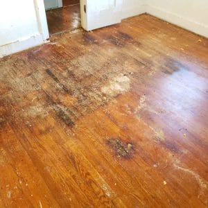 Water-damaged hardwood floor with dark stains, mold patches, and visible warping near doorways, indicating extensive moisture exposure and potential structural damage.