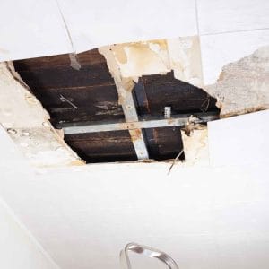Severely water-damaged ceiling with large sections of drywall torn away, exposing rusted metal framing, mould growth, and blackened wooden beams due to prolonged moisture exposure.