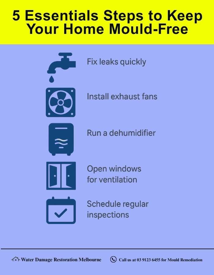 Infographic titled '5 Essential Steps to Keep Your Home Mould-Free' showing a checklist with icons: fix leaks quickly, install exhaust fans, run a dehumidifier, open windows for ventilation, and schedule regular inspections.