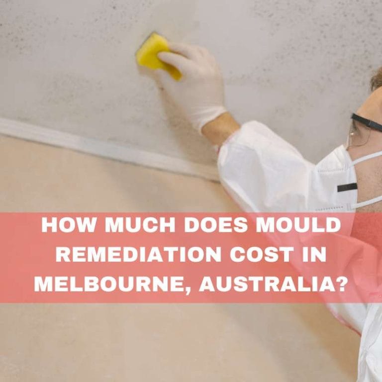 Mould remediation cost in Melbourne, Australia