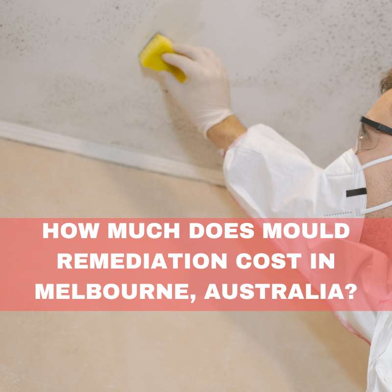 Mould remediation cost in Melbourne, Australia