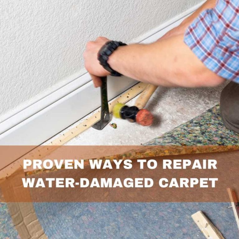 Proven ways to repair water damaged carpet
