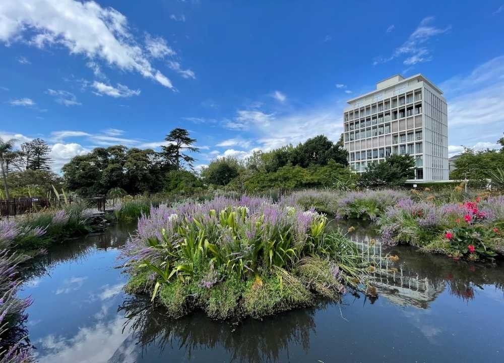 A scenic view of the Royal Botanic Gardens in Melbourne featuring a reflective pond surrounded by vibrant flowering plants and greenery. In the background, a modern white building rises above the treetops under a bright blue sky with scattered clouds.