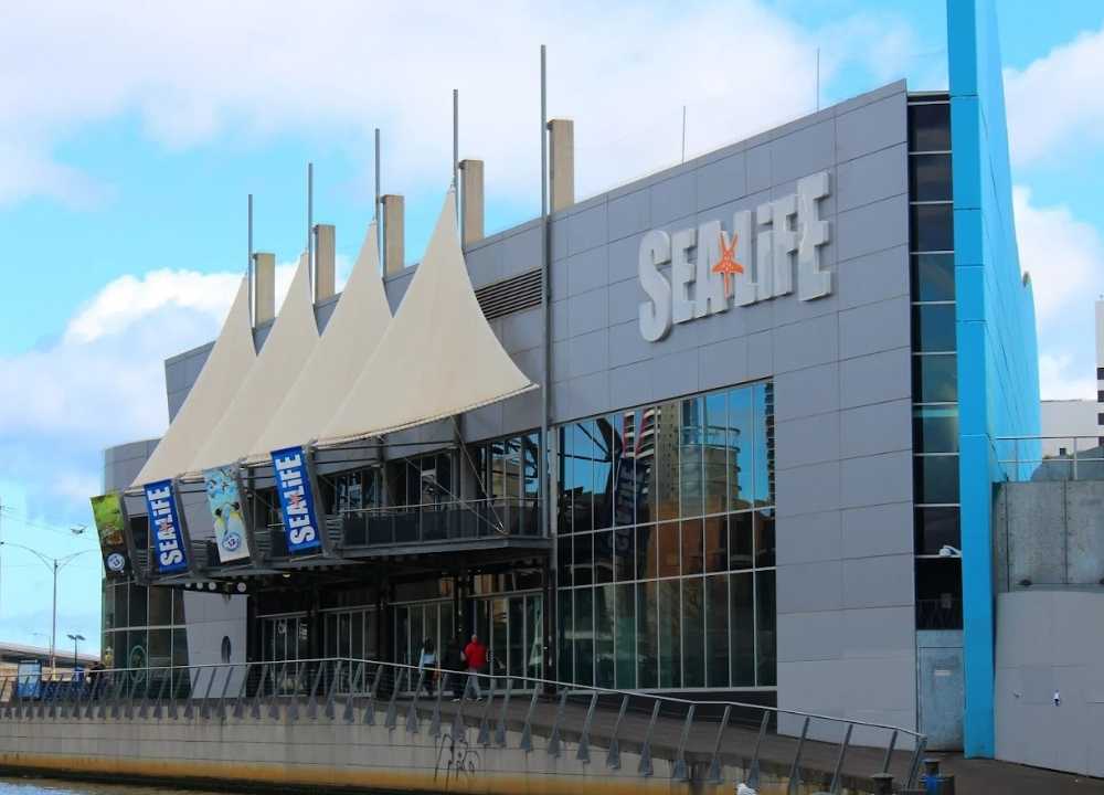 Exterior view of SEA LIFE Melbourne Aquarium, a modern grey and blue building with sail-like canopies and large glass windows. The SEA LIFE logo with a starfish is prominently displayed on the façade. Flags promoting the aquarium hang at the entrance, and a pedestrian walkway curves along the building beside the Yarra River under a partly cloudy sky.