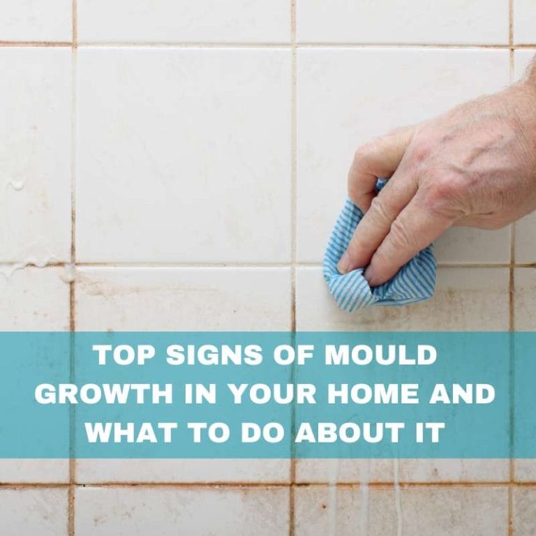 Top signs of mould in your home and what to do about it
