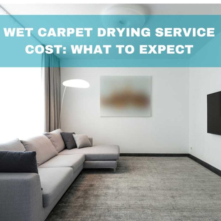 Wet carpet drying service cost: What to expect