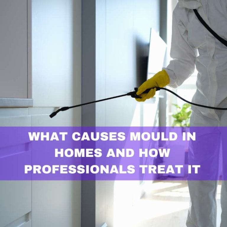 Causes of moulds in homes and how professional treat it