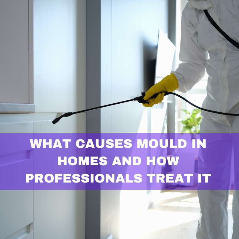 Causes of moulds in homes and how professional treat it