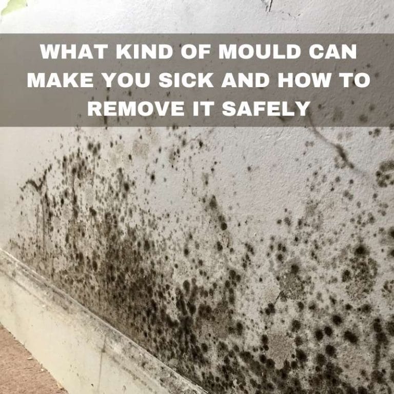 Kind of Moulds that can make you sick and how to remove it safely