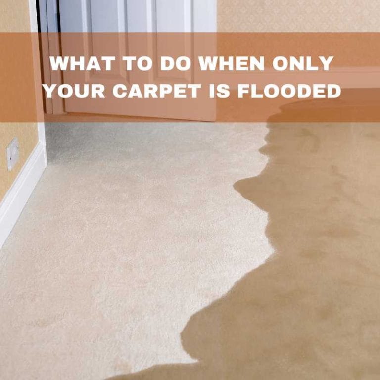 What to do when only your carpet is flooded